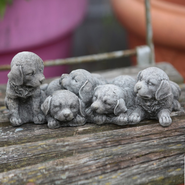 Fünf süße Hündchen