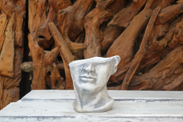 Pflanzkopf flach - Pflanzgefäß