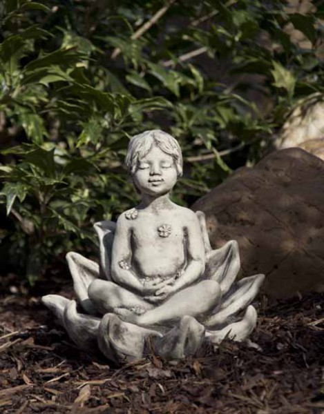 Sprössling LOTUSBLUME