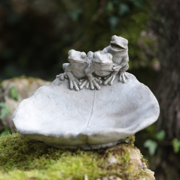 Drei Frösche auf Laubblatt - Vogelbad