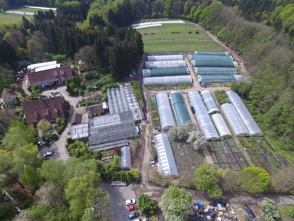 2016-06-Gartenbau-Hofstetter-Mu-hle-oben-3