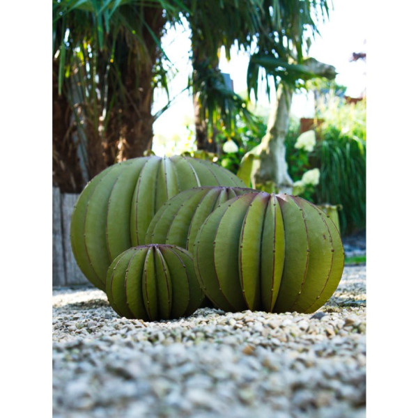 Goldkugelkaktus aus Metall