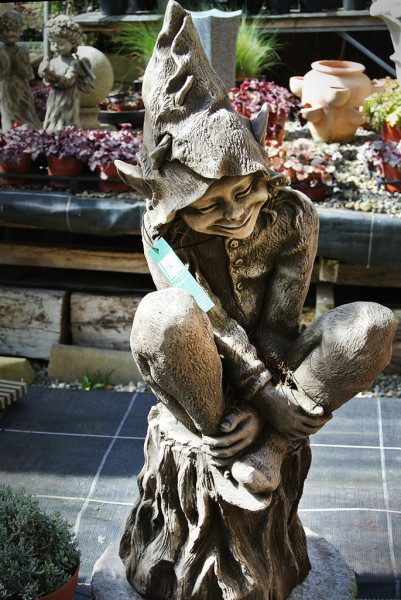 FOXGLOVE auf dem Baumstumpf