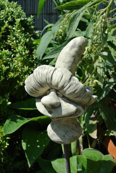 Magic Mushrooms Edgar