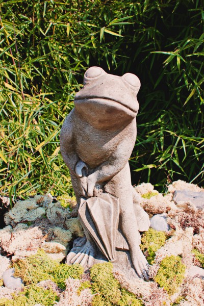 Frosch mit Regenschirm