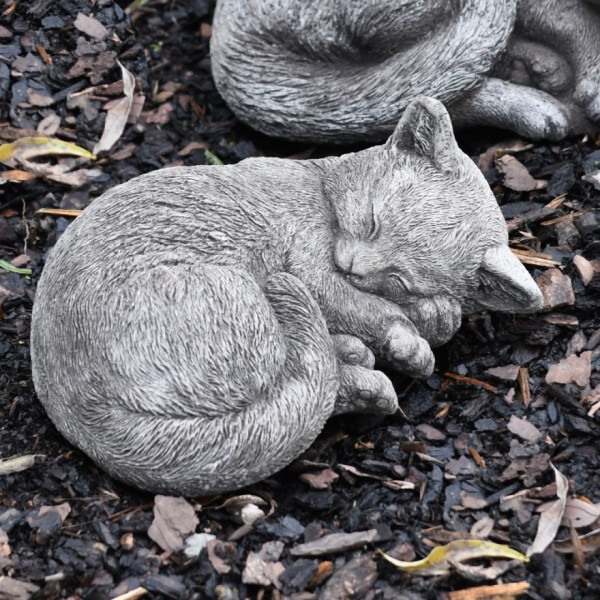 Schlafendes Kätzchen