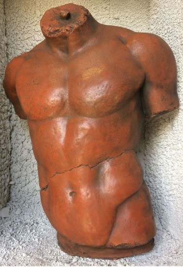 Männlicher Torso