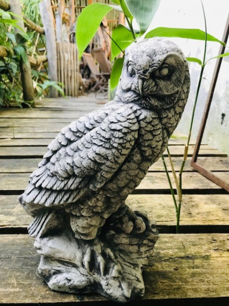 Eule nach rechts gebeugt