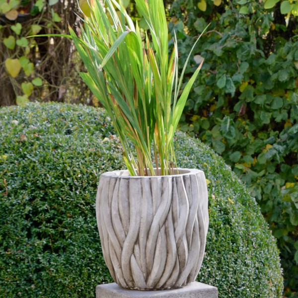 Besonderes Stein-Pflanzgefäß