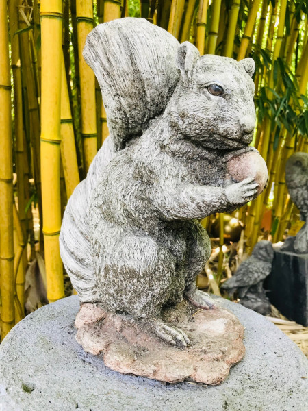 Eichhörnchen mit Eichel