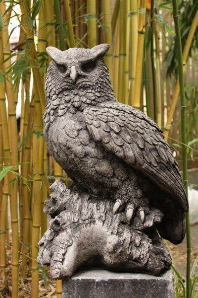 Große Eule auf Baumstamm