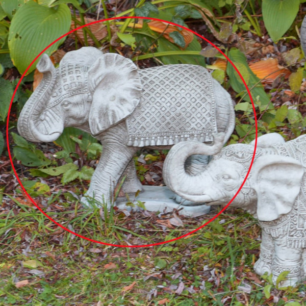 Schöner Elefant auf Plattform