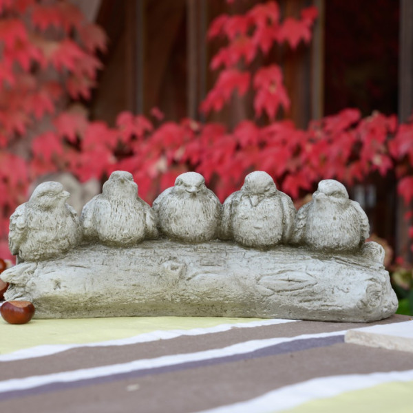 Fünf Vögel auf Baumstamm