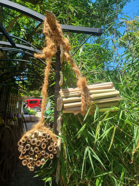 Nisthilfen aus eigenen Anbau für Wildbienen