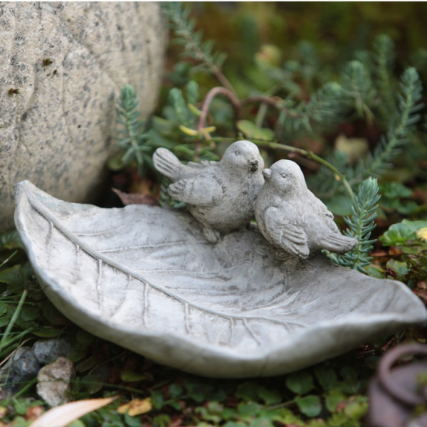 Zwei Vögel auf Laubblatt - Vogelbad