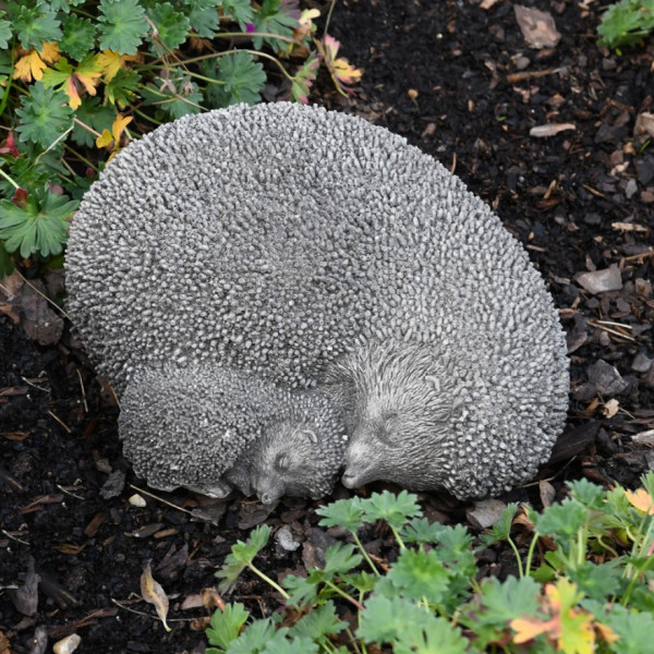 Mutter und Kind Igel