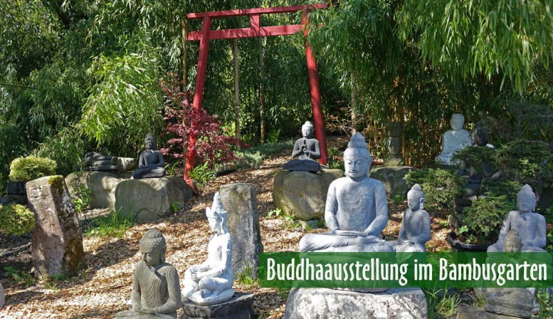 Buddha Steinfiguren im Bambusgarten