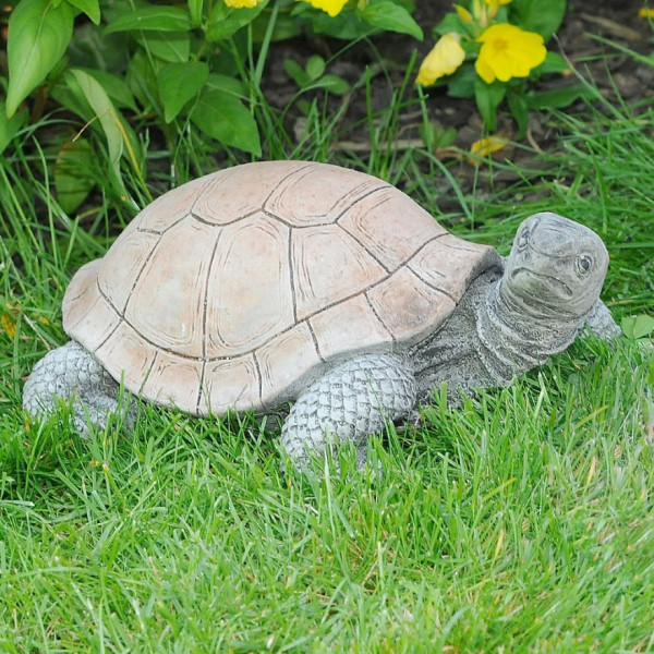 Große Schildkröte - Blick nach rechts