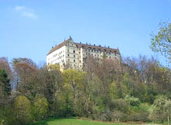 schloss-heiligenberg