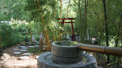 startseite-bambuswald2011